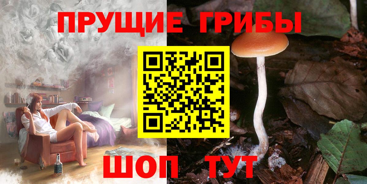 как найти наркотики  Вход с VPN  Буйнакск  Галлюциногенные грибы мухоморы 